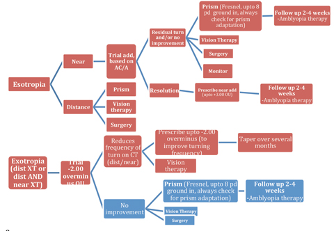 Fig 5. Diagnosis and sequential management of strabismic binocular vision conditions.