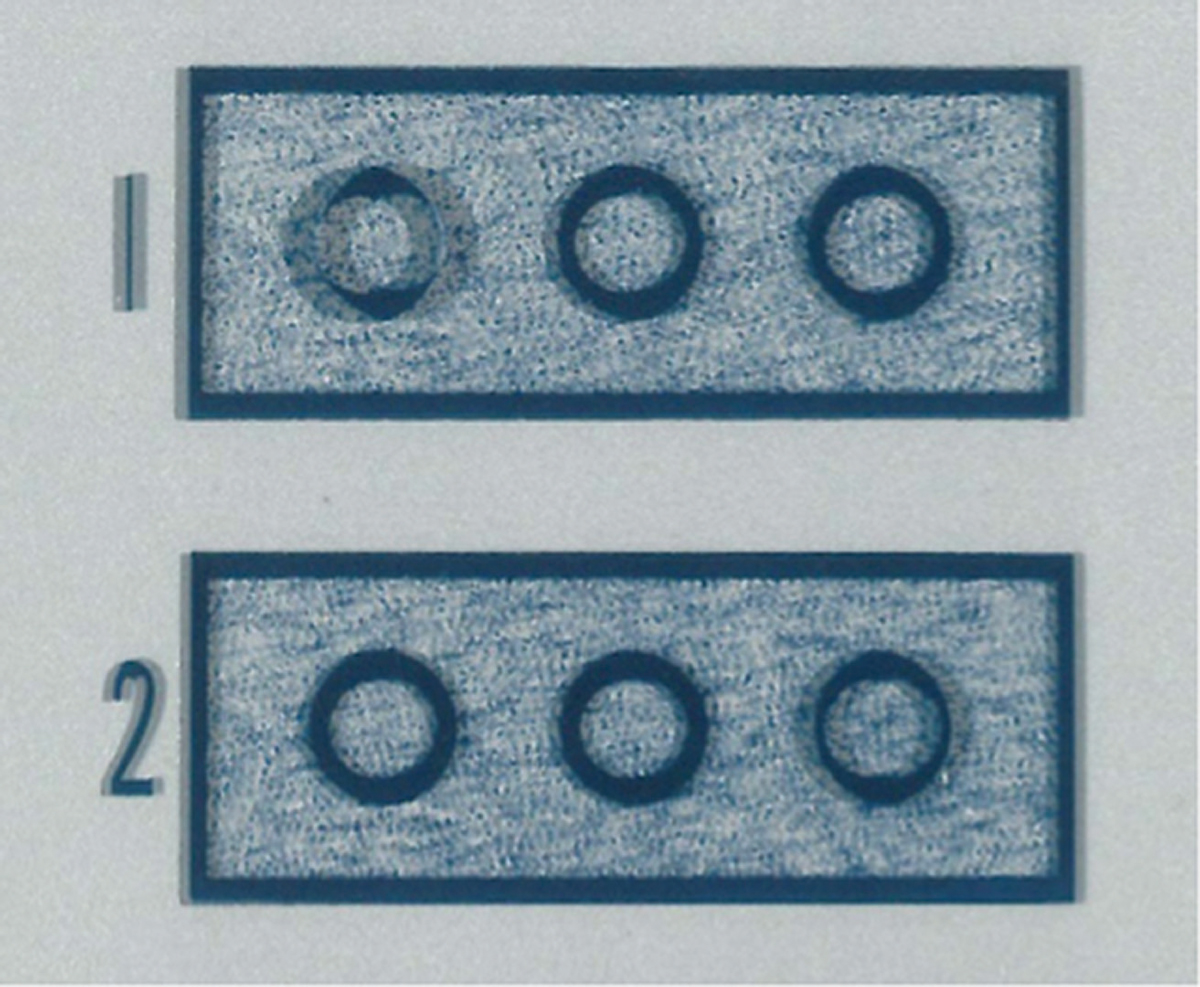 Fig. 3. Wirt circles with random dot background.