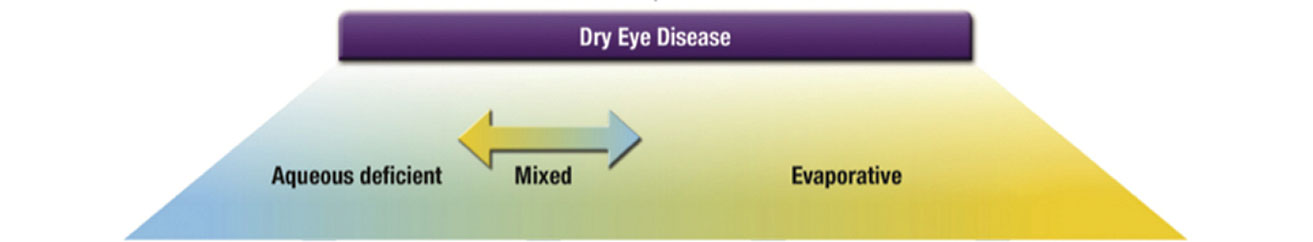 DED is on a continuum of pathophysiology and is not a dichotomous disease.