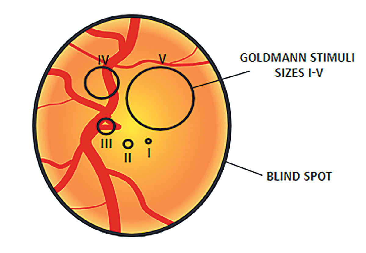 Fig. 8. This diagram shows a representation of the difference in size of the stimulus size III target and size V target.